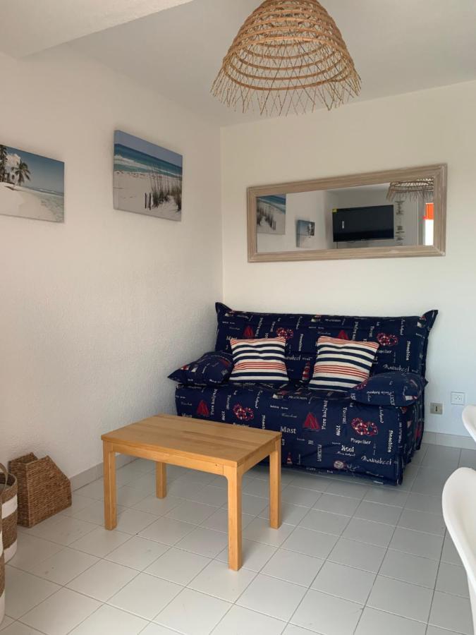 Apartment Mon Petit Paradis: Beachfront Dune Views With Private Terrace Marseillan (Herault)