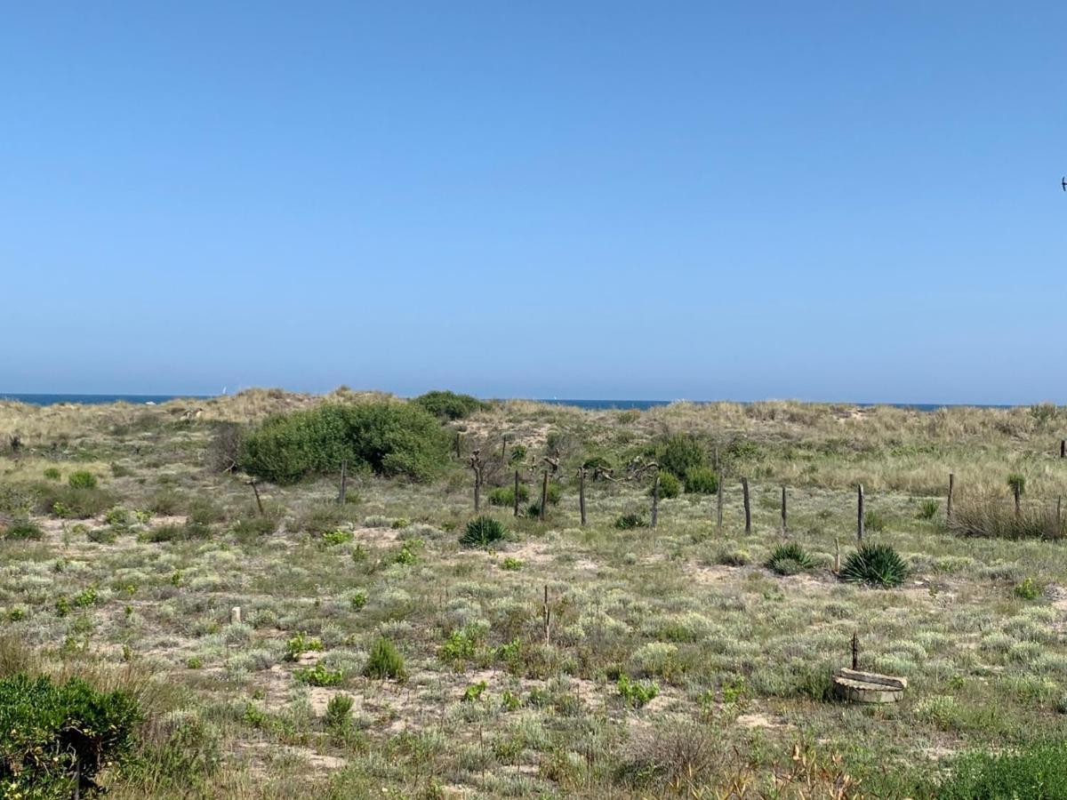 Mon Petit Paradis: Beachfront Dune Views With Private Terrace Apartment Marseillan (Herault)